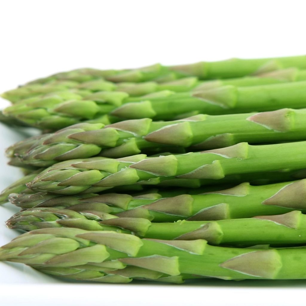 Asparagus 'Eclipse' Multiplants